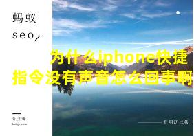 为什么iphone快捷指令没有声音怎么回事啊