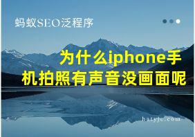 为什么iphone手机拍照有声音没画面呢