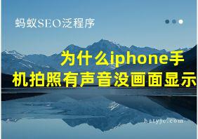 为什么iphone手机拍照有声音没画面显示