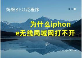 为什么iphone无线局域网打不开