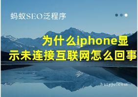 为什么iphone显示未连接互联网怎么回事