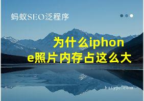 为什么iphone照片内存占这么大