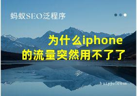 为什么iphone的流量突然用不了了