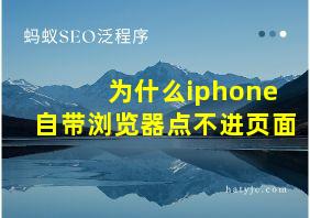 为什么iphone自带浏览器点不进页面