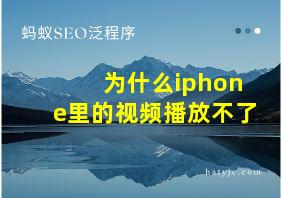 为什么iphone里的视频播放不了