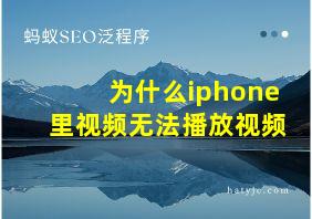 为什么iphone里视频无法播放视频