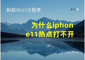 为什么iphone11热点打不开