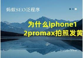 为什么iphone12promax拍照发黄