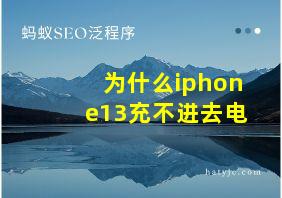 为什么iphone13充不进去电