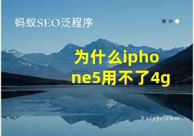 为什么iphone5用不了4g