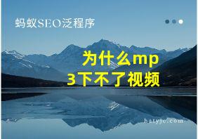 为什么mp3下不了视频