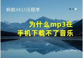 为什么mp3在手机下载不了音乐