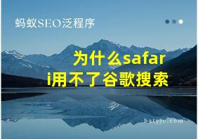 为什么safari用不了谷歌搜索