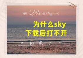 为什么sky下载后打不开