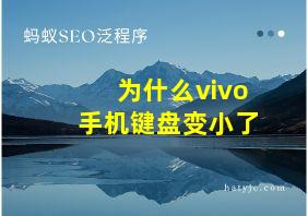 为什么vivo手机键盘变小了