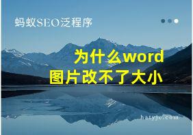 为什么word图片改不了大小