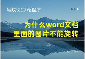 为什么word文档里面的图片不能旋转