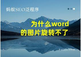 为什么word的图片旋转不了