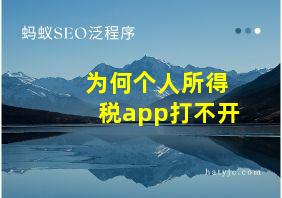 为何个人所得税app打不开