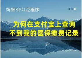 为何在支付宝上查询不到我的医保缴费记录