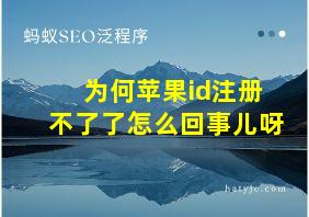 为何苹果id注册不了了怎么回事儿呀