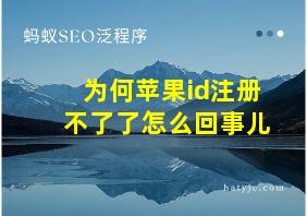 为何苹果id注册不了了怎么回事儿