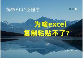 为啥excel复制粘贴不了?