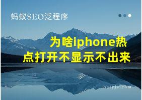 为啥iphone热点打开不显示不出来