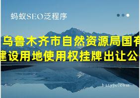 乌鲁木齐市自然资源局国有建设用地使用权挂牌出让公告