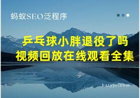 乒乓球小胖退役了吗视频回放在线观看全集