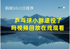 乒乓球小胖退役了吗视频回放在线观看