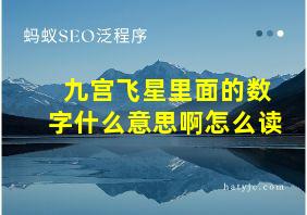 九宫飞星里面的数字什么意思啊怎么读