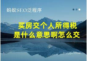 买房交个人所得税是什么意思啊怎么交