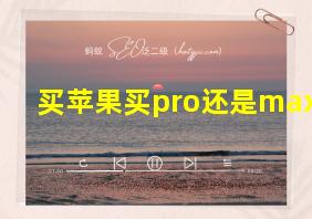 买苹果买pro还是max