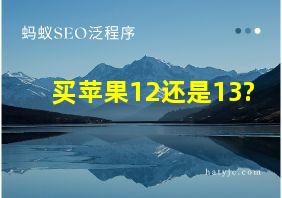 买苹果12还是13?