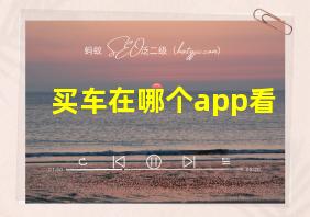 买车在哪个app看