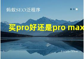 买pro好还是pro max好