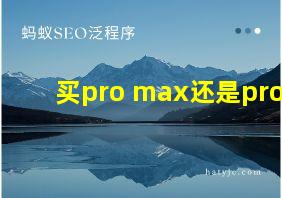 买pro max还是pro