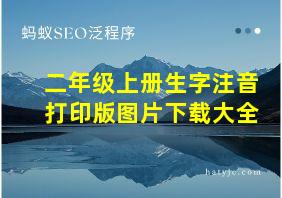 二年级上册生字注音打印版图片下载大全