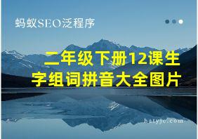 二年级下册12课生字组词拼音大全图片