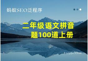 二年级语文拼音题100道上册