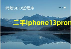 二手iphone13promax