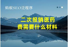 二次报销医药费需要什么材料