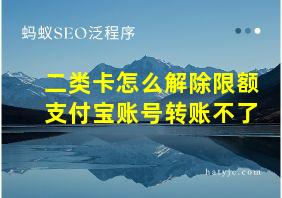 二类卡怎么解除限额支付宝账号转账不了