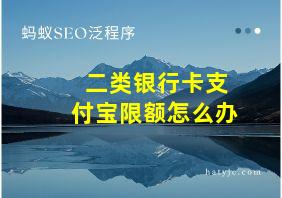 二类银行卡支付宝限额怎么办