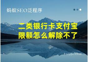 二类银行卡支付宝限额怎么解除不了