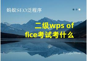 二级wps office考试考什么