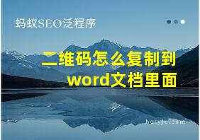 二维码怎么复制到word文档里面