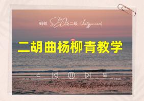 二胡曲杨柳青教学