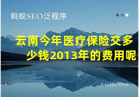 云南今年医疗保险交多少钱2013年的费用呢